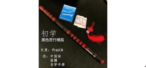 成人直笛视频,跟随视频轻松掌握成人直笛演奏技巧  第1张