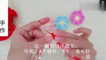 成人蝴蝶网钩织教程视频,轻松掌握网钩技巧，打造时尚家居装饰  第3张