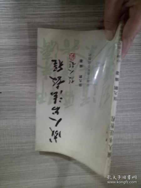 书法视频成人教学教程,成人书法入门与进阶之路  第3张