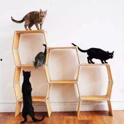 成人房子拼装玩具视频大全  第2张