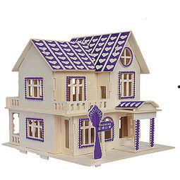 成人房子拼装玩具视频大全  第3张