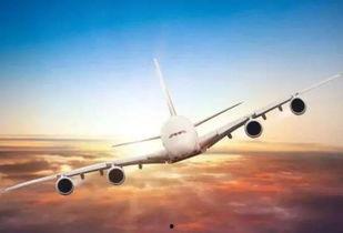 飞机玩具成人吸吮视频  第1张